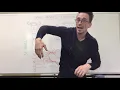 Spinal Nerve Plexus Peripheral Nervous System