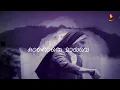 Lilly Malarey - Karaoke Version | Varavu | Sam CS | MG Sreekumar | BK Harinarayanan