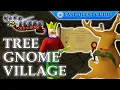 Tree Gnome Village Quest OSRS Quality Quick Guide 2023