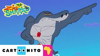 Lifeguard duties | Zig & Sharko | Cartoonito Africa
