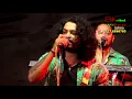 Download Lagu Arrowstar || Prins Nonstop / 2022 #viral #trending #music