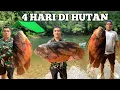 Download Lagu Camping Hujan deras 4 Hari Pertualangan Bermalam di hutan  mencari ikan di sungai kapuas masak makan