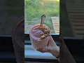 Download Lagu another what i ✨️GOT✨️ to eat today!!🧀🥯🍳🫘🍓🌯🫐👌 #whatieatinaday #highschoolathletes #shorts #girl