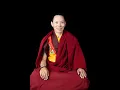 Dharma Discussion Ep83 16 Khenpo Tenzin