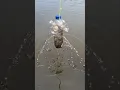Download Lagu Perangkap ikan dari botol#fish