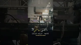 الله لون يا لون المرعب بيبو ادم اسوان اغاني سودانية السودان بيبو ادم 