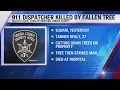 911 dispatcher killed by fallen tree in Town of Western Oneida County