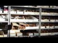 Faucet Repair Antelope Valley Plumbing