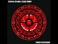 Riva Starr x Toddy Terry -  This Is The Sound ( Original Mix )