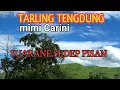 Ula pucuk - Mimi Carini Tarling Tengdung