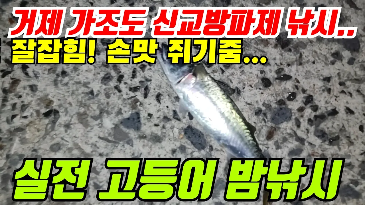 관련 영상 썸네일