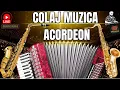 Lagu Colaj Muzica De Petrecere💥Hore si Sarbe de Joc💥Muzica instrumentala Acordeon💥20 minute