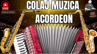 colaj muzica de petrecere hore si sarbe de joc muzica instrumentala acordeon 20 minute