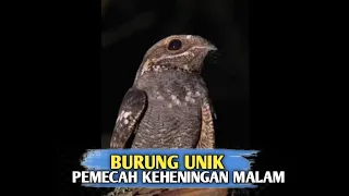 the more it makes a sound the more restful your sleep becomes 