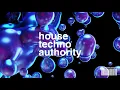 Zhu - Risky Business (Mathame Remix)