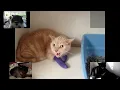 Cats - Sparta Diamond SQE V2 Remix