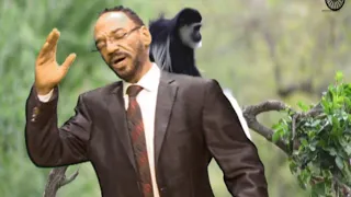 Imaltuu New Oromo Music 2021  Imaltuu New Oromo Music 2021