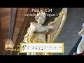 Download Lagu Sietze de Vries - Improvisation on Psalm 134. Müller-organ St. Bavo Haarlem, 2009 [ANALYSIS]