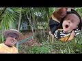 Download Lagu ISAEL PAI ORGULHOSO, VEJA OQUE LÍLIA FEZ
