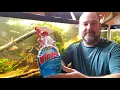 Is It Safe To Use Windex On Your Aquarium Glass