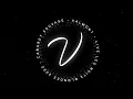 Valmont - Live Cabaret Sauvage - Echos Diaphanes extracts [Soundboard Sync]