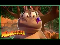 Lagu Ser babá é mais difícil do que parece! | Dreamworks Madagascar em Português