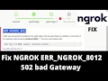 Ngrok complete Troubleshoot 502 bad gateway