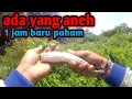 Download Lagu MANCING IKAN INI ADA YANG ANEH 1 JAM BARU PAHAM  #mancingikan #mancingliar #mancingliar