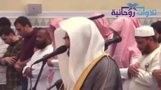   ف ل ا ت غ ر  ن  ك م  ال ح ي اة  الد  ن ي ا  خاشعة ومؤثرة للشيخ ناصر القطامي دندنها