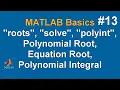 MATLAB Basics roots solve polyint Polynomial Root Equation Root Polynomial Integral