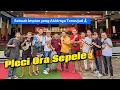 Download Lagu PLECI MAIN DI VIKING ARENA!Impian yang akhirnya Terwujud!(Salam Sahdu Sehat Selalu).