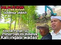 NGERI❗️❗️POHON JATI DI ATAS KALI IRIGASI SEGERA DI GUSUR SECEPATNYA SEBELUM EXCAVATOR YANG TURUN