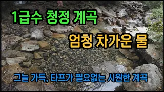 [강원도 계곡추천]엄청 차가운 물, 그늘 가득한 계곡 //휴가는 여기로 강력 추천합니다 썸네일
