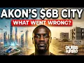 Akon s 6B Project What Went Wrong