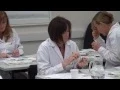 Sensory descriptive panel Campden BRI