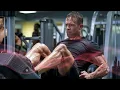 Legs Day Morphic Field - Automated Workout Series | Strength, Endurance & Muscle Growth
