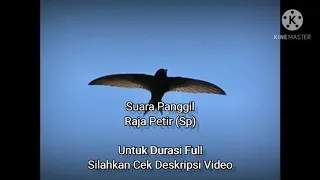 Download Raja Petir (Sp) MP3