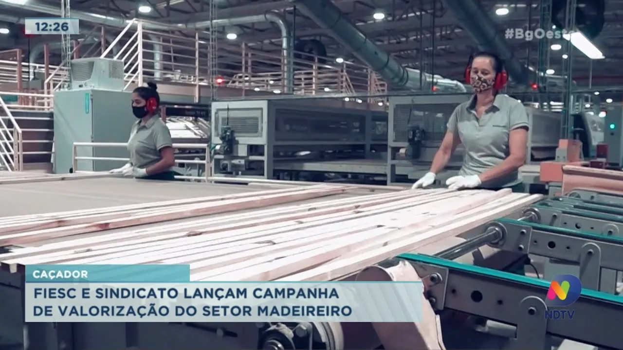 Fiesc e Sindicato lançam campanha de valorização do setor madeireiro em Caçador