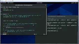 Checking for Endianness Using C - Big Endian vs Little Endian