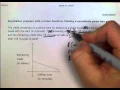 ALEKS Application problem with a linear function MC