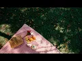 Download Lagu CAPTIVATE - Merindu (Official Music Video)