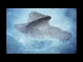 Dhafer Youssef - Whirling Birds (Nomads Edit)