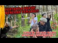 Download Lagu CEK LOKASI DI TENGAH HUTAN PINUS !! Ternyata Dulunya Wisata.