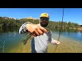 FISHING IN BRECKENRIDGE COLORADO CATCHING RAINBOWS AND BROOKIES