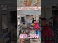 Download Lagu Lagu sedang Viral // Masuk masuk minang insos kofiau // Siaekmual musik