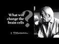 Download Lagu What will change the brain cells? | Krishnamurti
