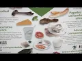 Organics Recycling in Maple Grove