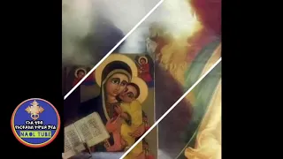 ድንግል መከራሽን እና የጻድቃን እመቤት 