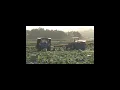 Download Lagu Pertanian Kubis Modern Di Jepang | Modern Cabbage Farming in Japan