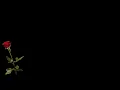 Download Lagu Wende Nyasaye  5  Hours Luo Hymns DarkscreenHymns 2 of 3  720 X 1280